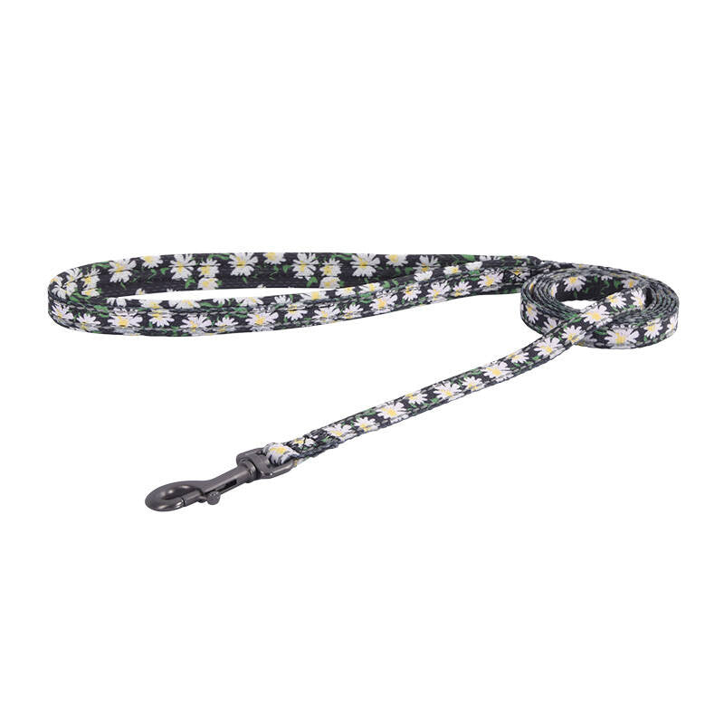 Suņu komplekts Dogness iemaukti un pavada (Daisy Black)