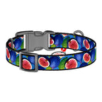 Waudog "Fig" nylon dog collar with QR code, size XL