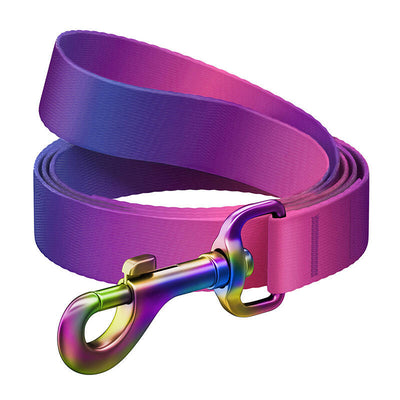 WAUDOG gradienta neilona suņu pavada, 20 mm plata, 122 cm gara, violeta