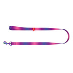 WAUDOG gradienta neilona suņu pavada, 15 mm plata, 122 cm gara, violeta