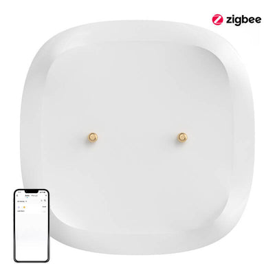 Viedais ūdens noplūdes/plūdu sensors ZigBee SONOFF SNZB-05P (+akumulators)