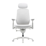 Dynamic Ergonomic Chair LiberNovo Maxis Glacier Co