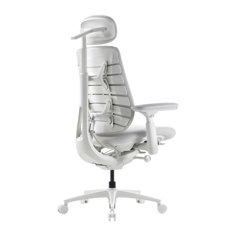 Dynamic Ergonomic Chair LiberNovo Maxis Glacier Co