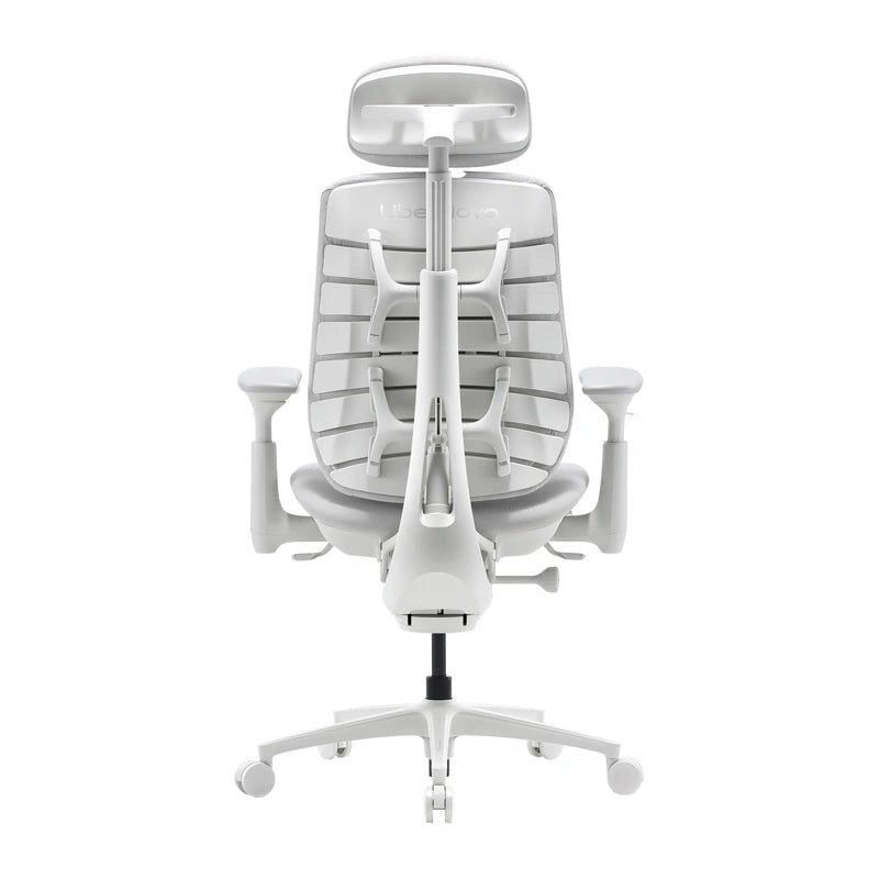 Dynamic Ergonomic Chair LiberNovo Maxis Glacier Co