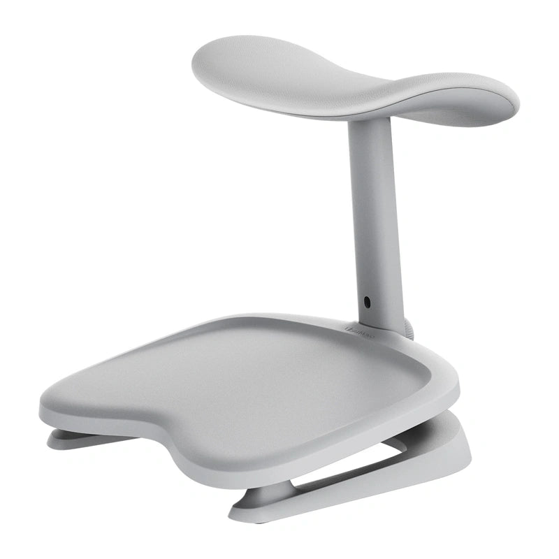 Dynamic Ergonomic Chair LiberNovo Maxis Glacier Co