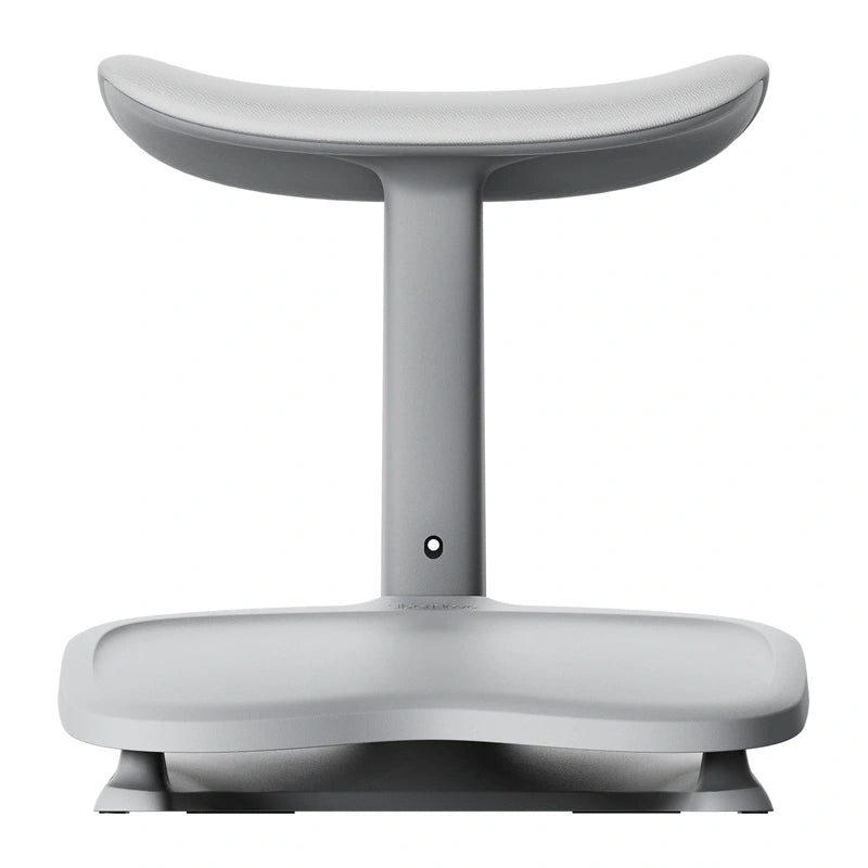 Dynamic Ergonomic Chair LiberNovo Maxis Glacier Co