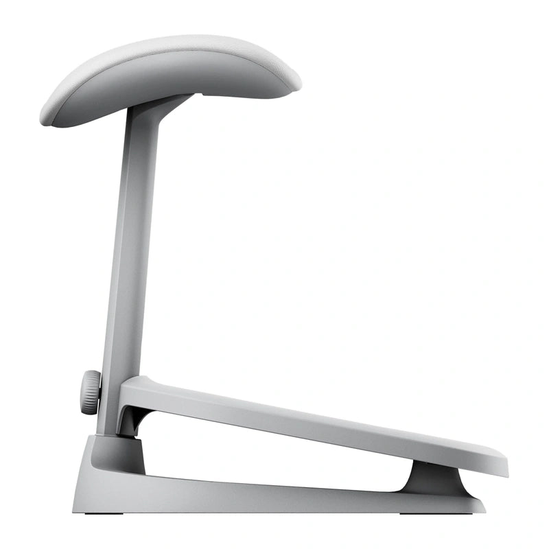 Dynamic Ergonomic Chair LiberNovo Maxis Glacier Co