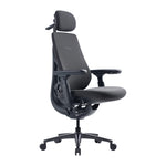 Dynamic Ergonomic Chair LiberNovo Maxis