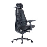 Dynamic Ergonomic Chair LiberNovo Maxis