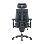 Dynamic Ergonomic Chair LiberNovo Maxis