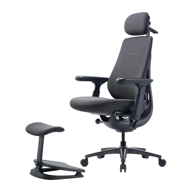 Dynamic Ergonomic Chair LiberNovo Maxis