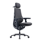 Dynamic Ergonomic Chair LiberNovo Maxis (Graphite)