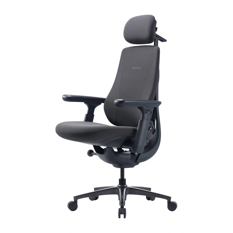 Dynamic Ergonomic Chair LiberNovo Maxis (Graphite)