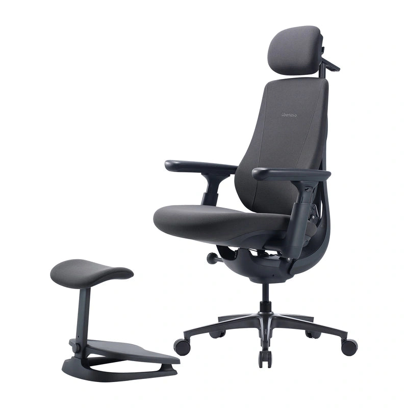 Dynamic Ergonomic Chair LiberNovo Maxis (Graphite)