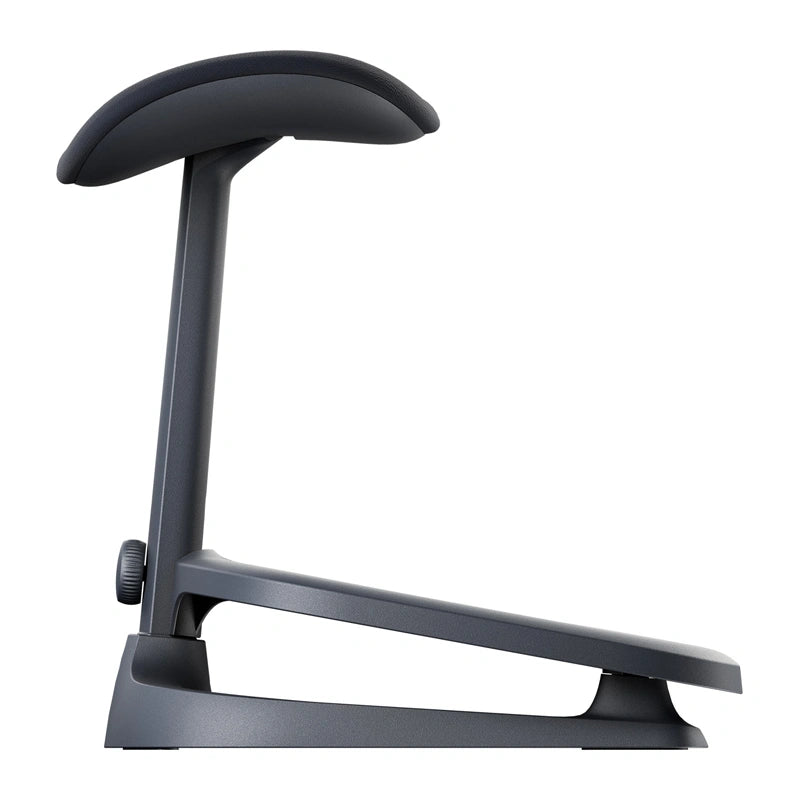Dynamic Ergonomic Chair LiberNovo Maxis (Graphite)
