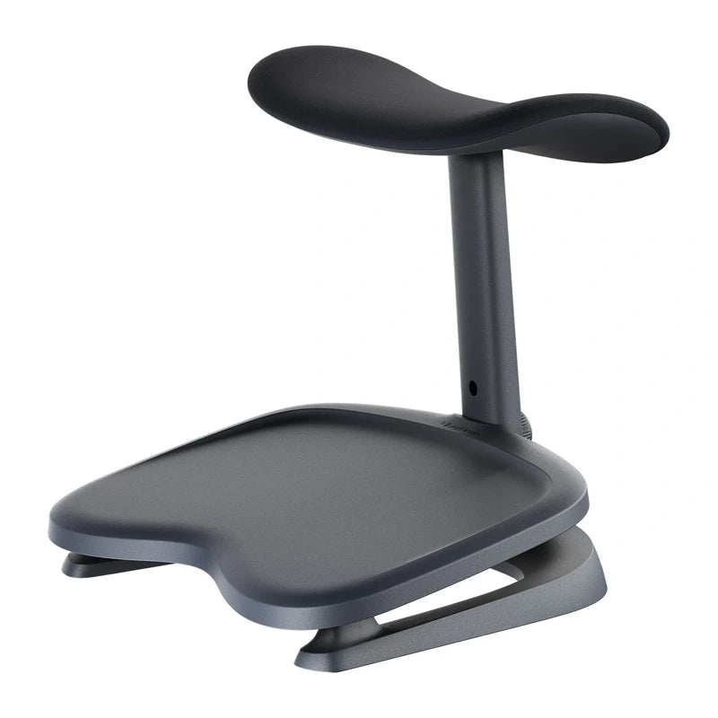 Dynamic Ergonomic Chair LiberNovo Maxis (Graphite)