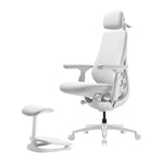 Dynamic Ergonomic Chair LiberNovo Maxis-PRO