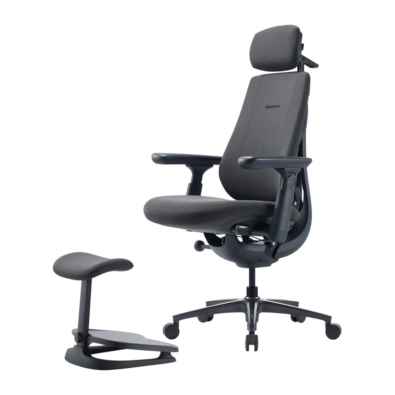 Dynamic Ergonomic Chair LiberNovo Maxis-PRO