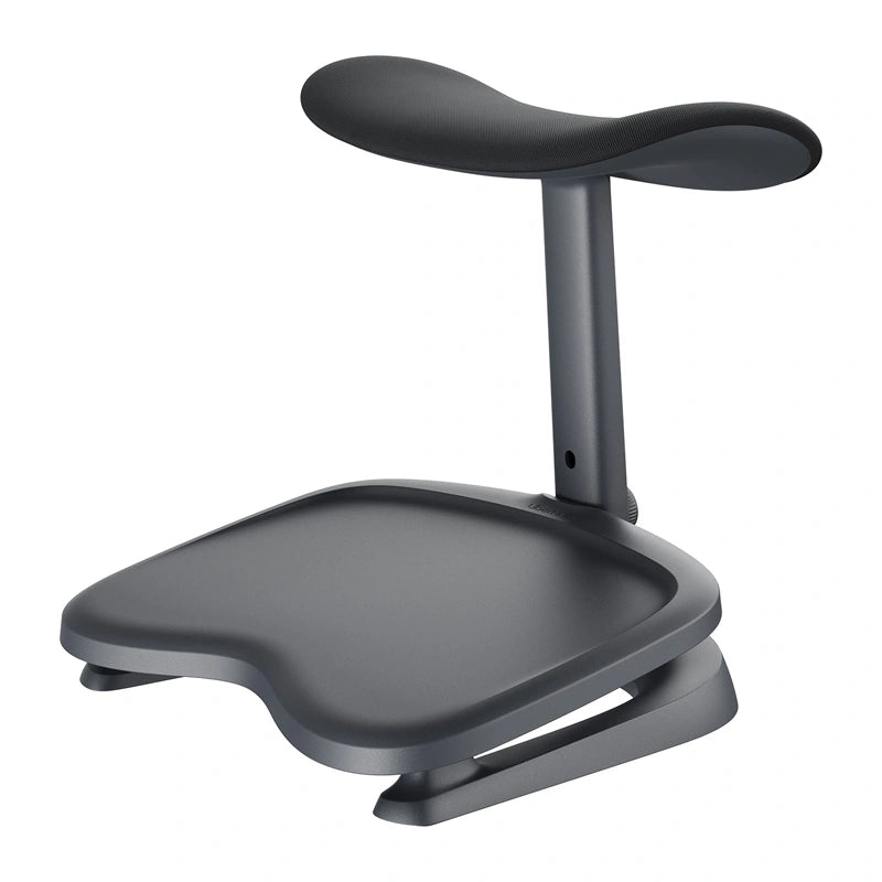 Dynamic Ergonomic Chair LiberNovo Maxis-PRO