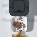 Sponge Automatic Pet Feeder Smart