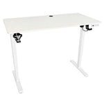Elektriski regulējams rakstāmgalds ar atmiņas funkciju un vadības paneli, 120x60 cm, balts