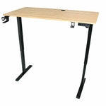 Elektriski regulējams rakstāmgalds ar atmiņas funkciju un vadības paneli, 120x60 cm, koka