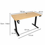 Elektriski regulējams rakstāmgalds ar atmiņas funkciju un vadības paneli, 120x60 cm, koka