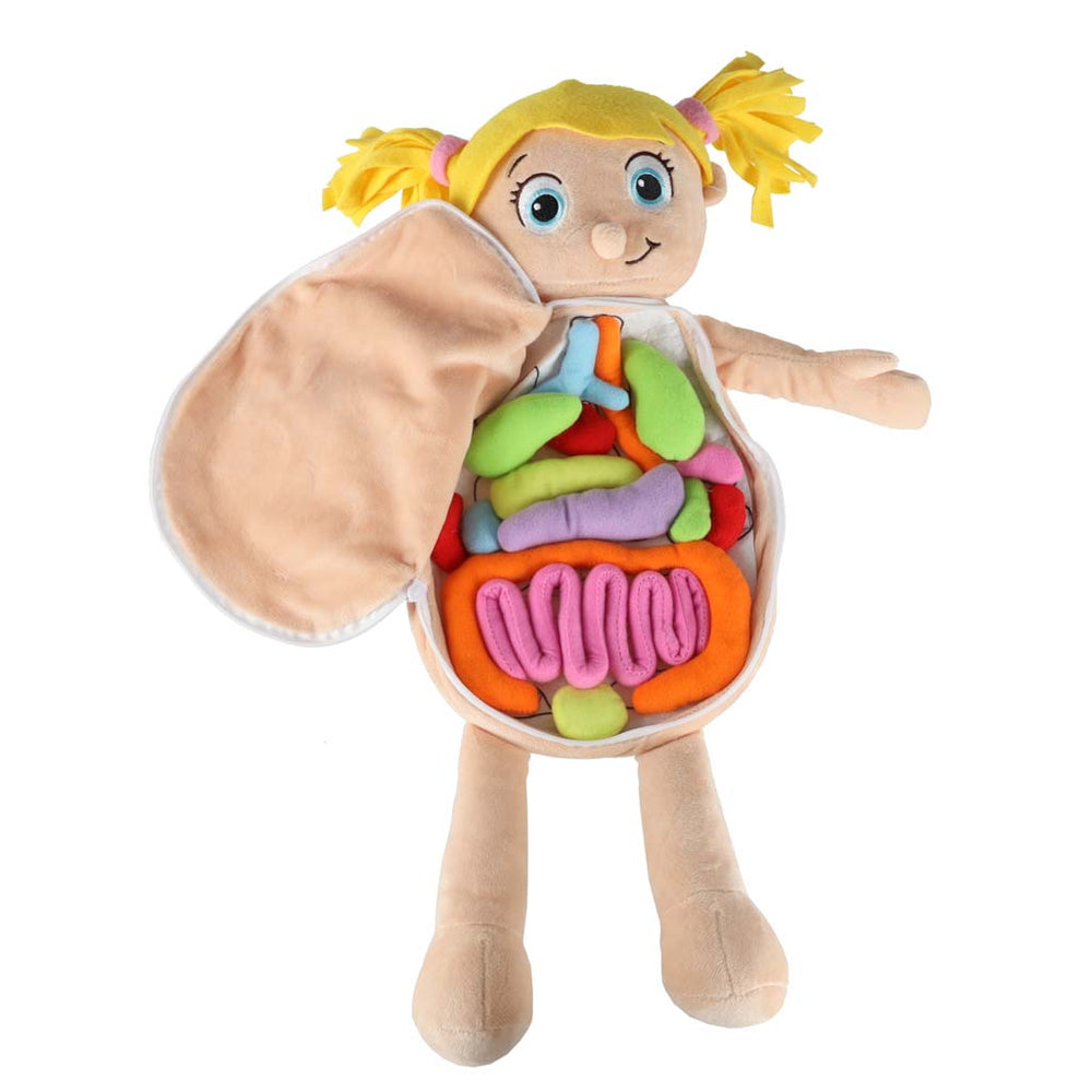 Maskot lelle, kas mācās anatomiju meitene