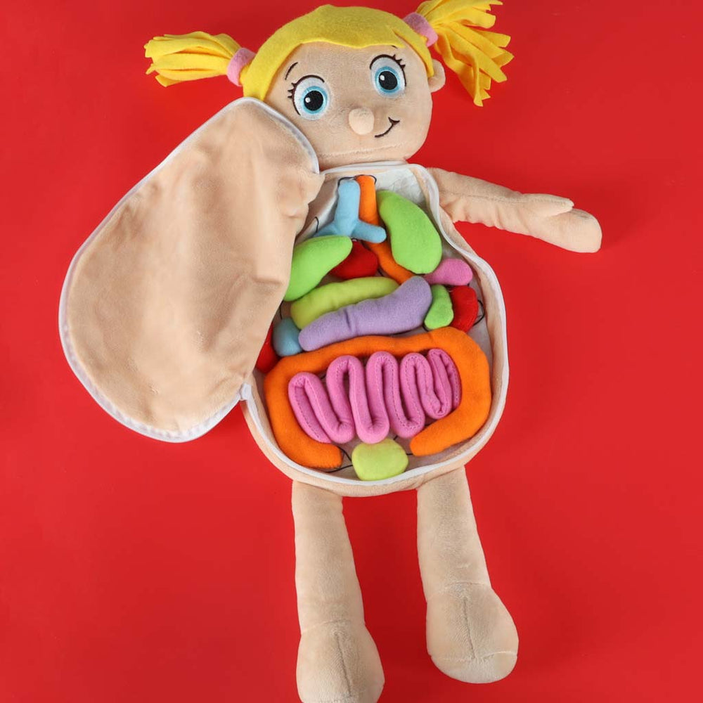 Maskot lelle, kas mācās anatomiju meitene