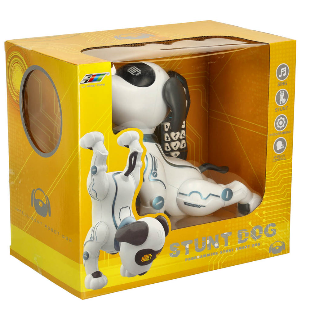 RC robots suns lec pastaigas