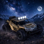 RC bezceļu drifta auto 20 km/h brūns