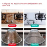 2500W Handheld Steam Cleaner High and Temperature Air Conditioner Kitchen Hood Car Steam Clean Machine Floor and More Cleaning