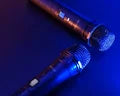 Two wireless microphones SQUEAK VocalDuo 2.4GHz USB SQ1007