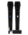 Two wireless microphones SQUEAK VocalDuo 2.4GHz USB SQ1007