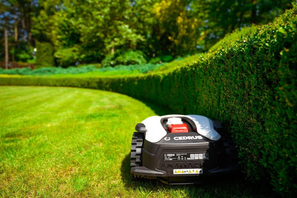 CEDRUS M6+ C-MOW robotizēts zāles pļāvējs (līdz 600 m²)