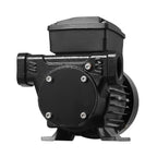 VEVOR Fuel Transfer Pump 230V, 16 GPM 60 L/min, AC Electric Oil Transfer Pump for Diesel Kerosene Biodiesel, with Auto Fuel Nozzle & 2 Hoses, 45 ft/13.7 m Max Lift, for Vehicles, Construction Sites