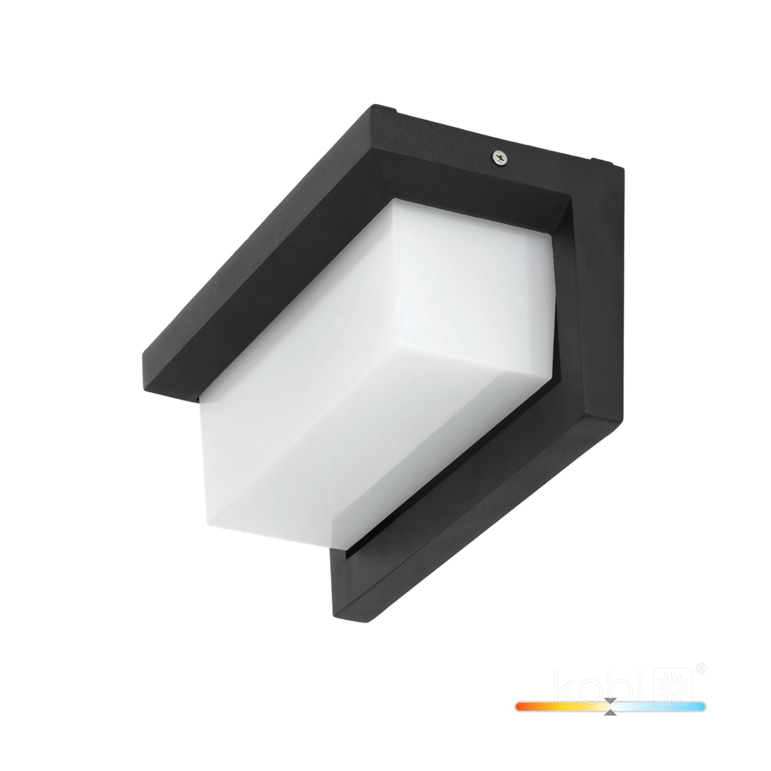 Garden wall lamp LED LENTERO 12W 4000K LX IP54 black LED2B