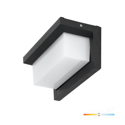 Garden wall lamp LED LENTERO 12W 4000K LX IP54 black LED2B