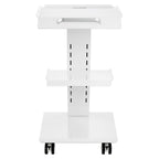 VEVOR Lab Trolley, Rolling Lab Cart with Built-in Socket, 3-Layer Metal Mobile Trolley, Tray Rolling Clinic Cart with Swivel Wheels, 220 lbs Weight Capacity, for Lab, Clinic, Beauty and Salon