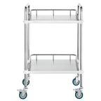 VEVOR Lab Rolling Cart, 2-Shelf Stainless Steel Rolling Cart, Lab Serving Cart with Swivel Casters, Dental Utility Cart for Clinic, Lab, Hospital, Salon, 385 x 548 x 865 mm