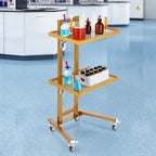 VEVOR 2 Tiers Stainless Steel Lab Carts, Lab Utility Cart with 2 Trays, Mobile Medical Cart with 4 Silent Wheels, Lab Rolling Cart for Lab, Clinic, Hospital, Salon, Golden