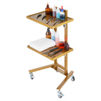 VEVOR 2 Tiers Stainless Steel Lab Carts, Lab Utility Cart with 2 Trays, Mobile Medical Cart with 4 Silent Wheels, Lab Rolling Cart for Lab, Clinic, Hospital, Salon, Golden