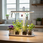 Plant grow light LED BLOOM 12W 4500K Kobi Design