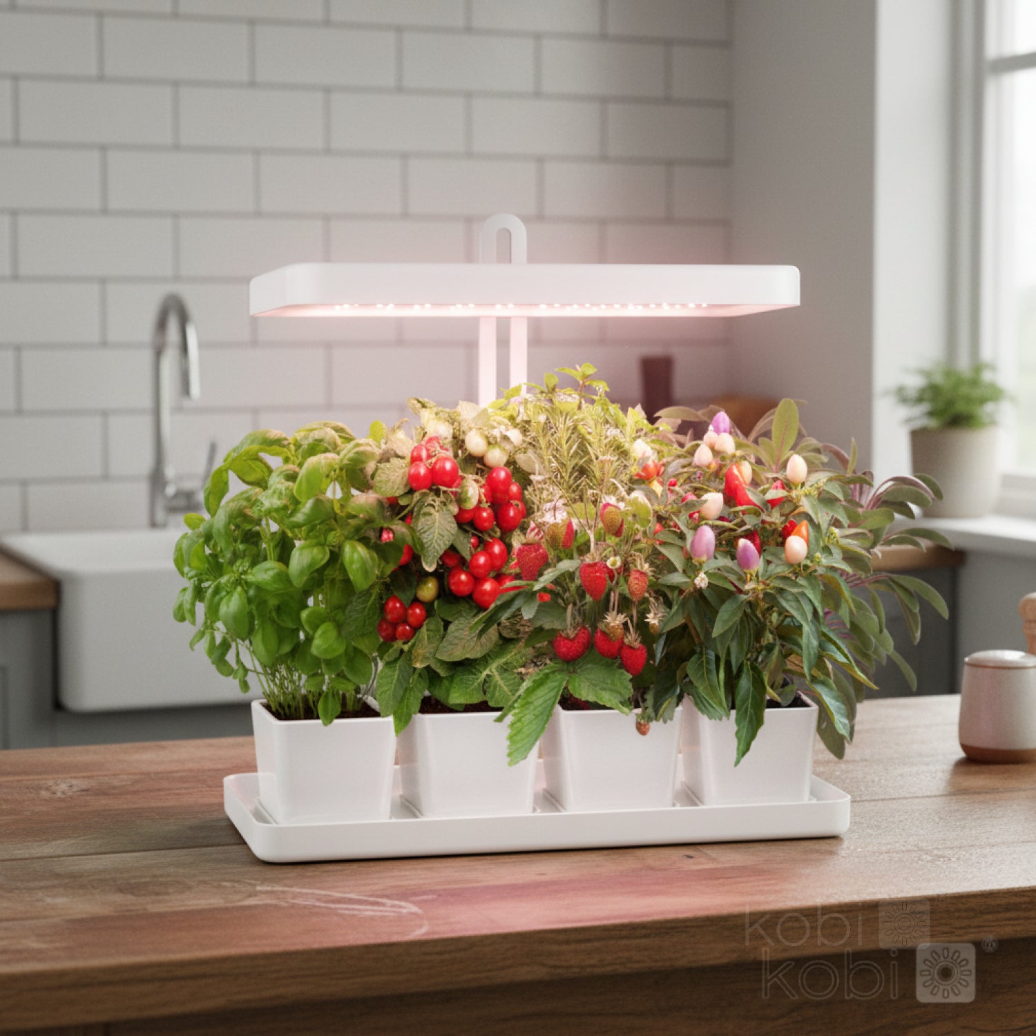 Plant grow light LED BLOOM 20W 3500K Kobi Design