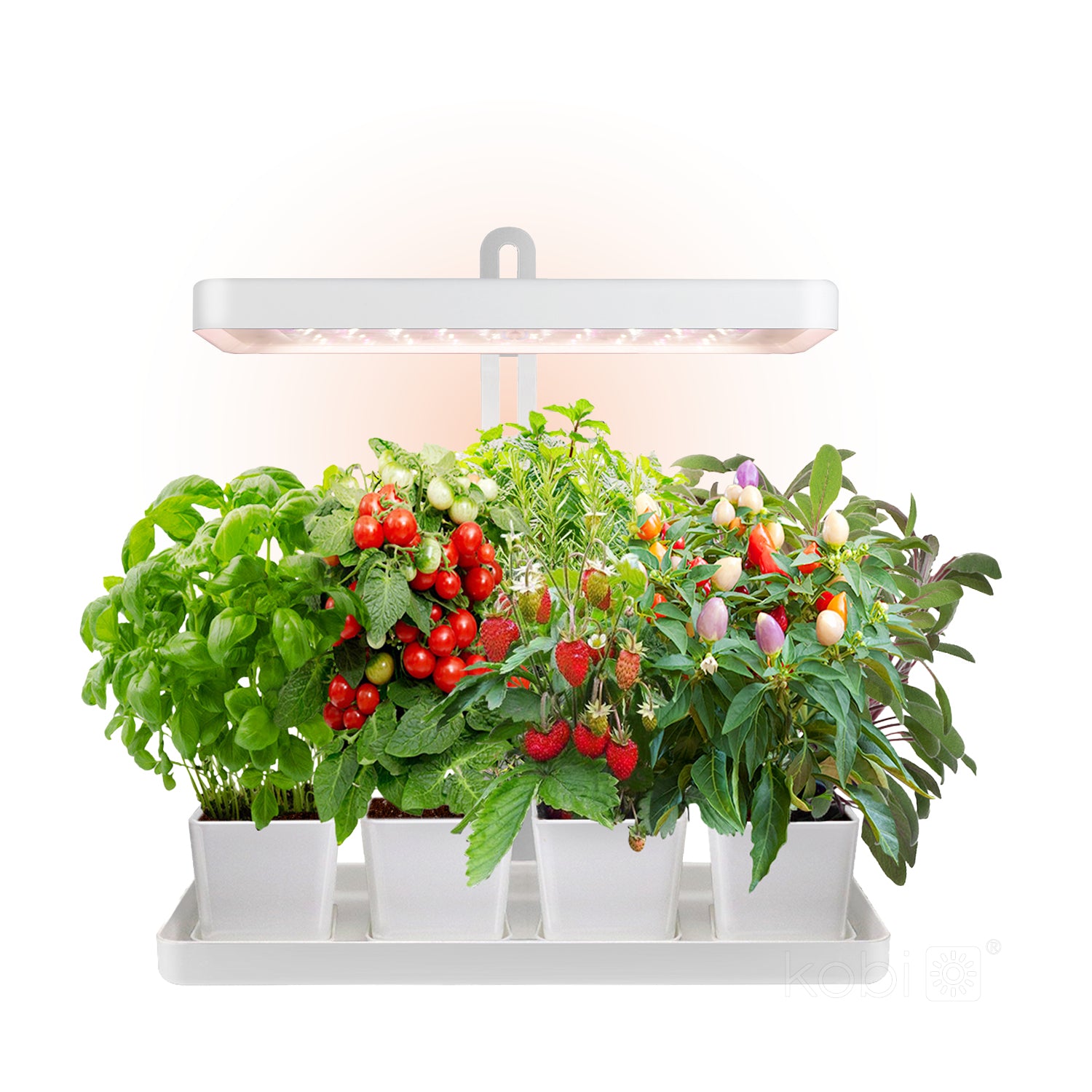 Plant grow light LED BLOOM 20W 3500K Kobi Design