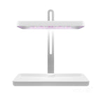 Plant grow light LED BLOOM 20W 3500K Kobi Design
