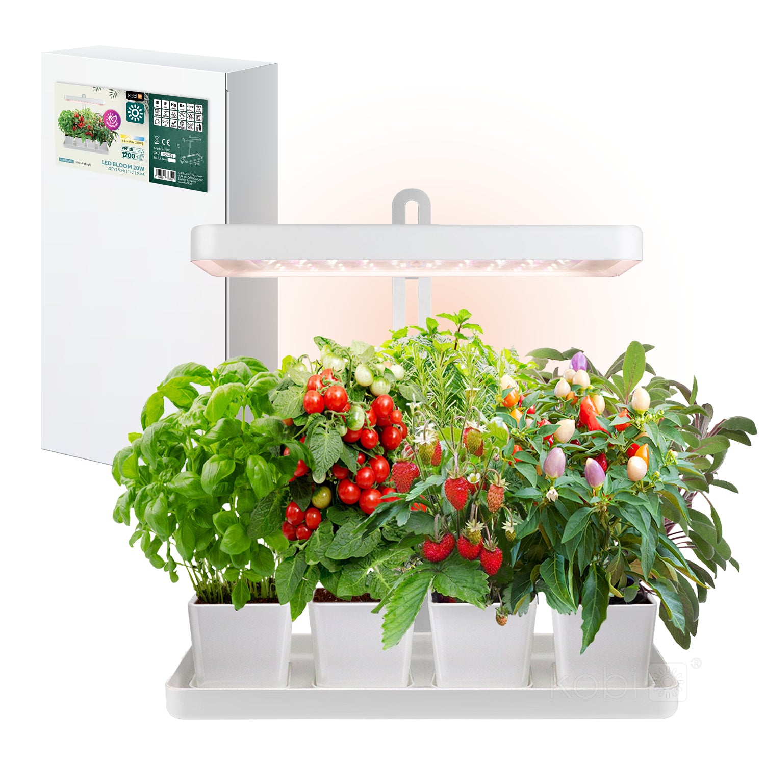 Plant grow light LED BLOOM 20W 3500K Kobi Design