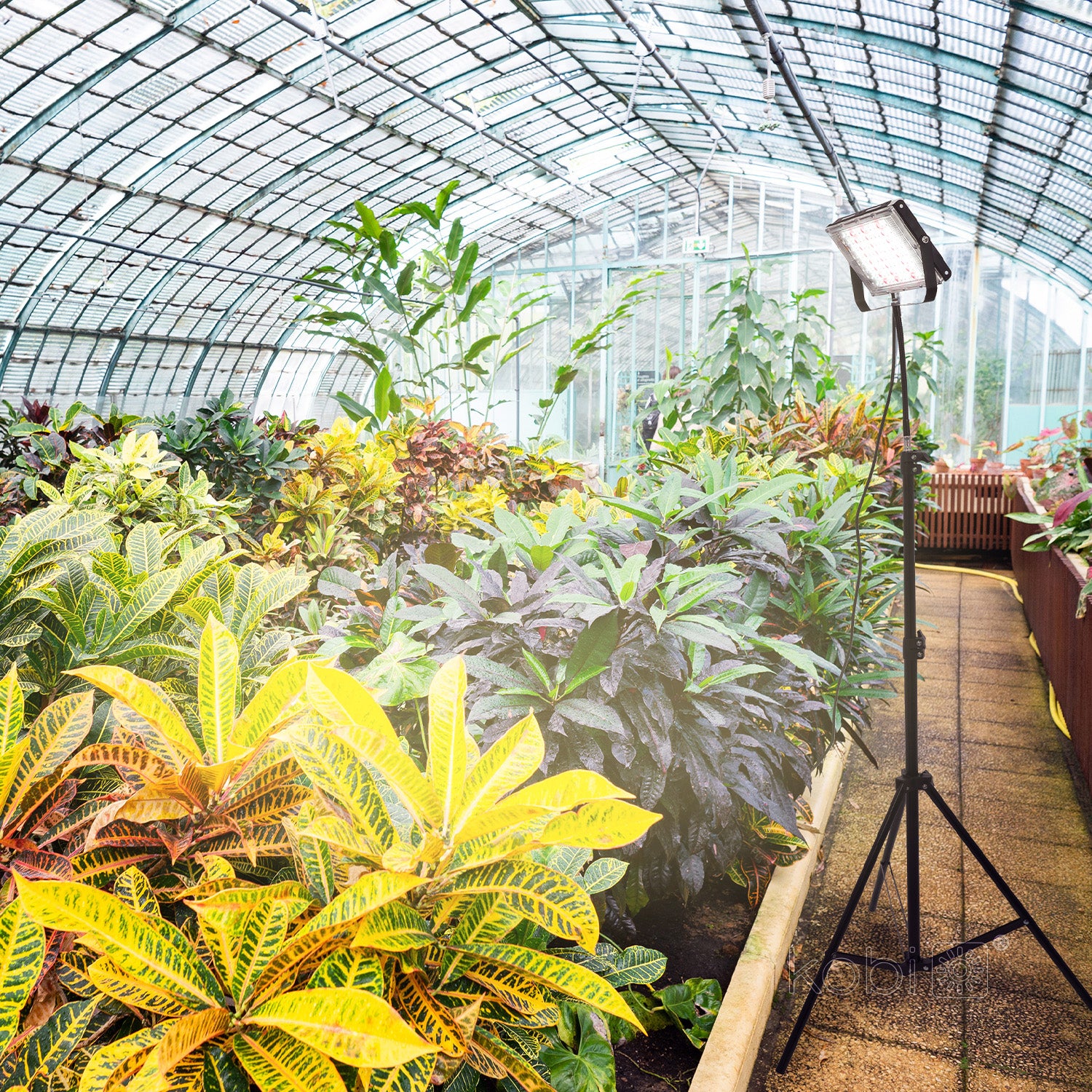 LED grow lamp LED FIRON 45W Kobi Design