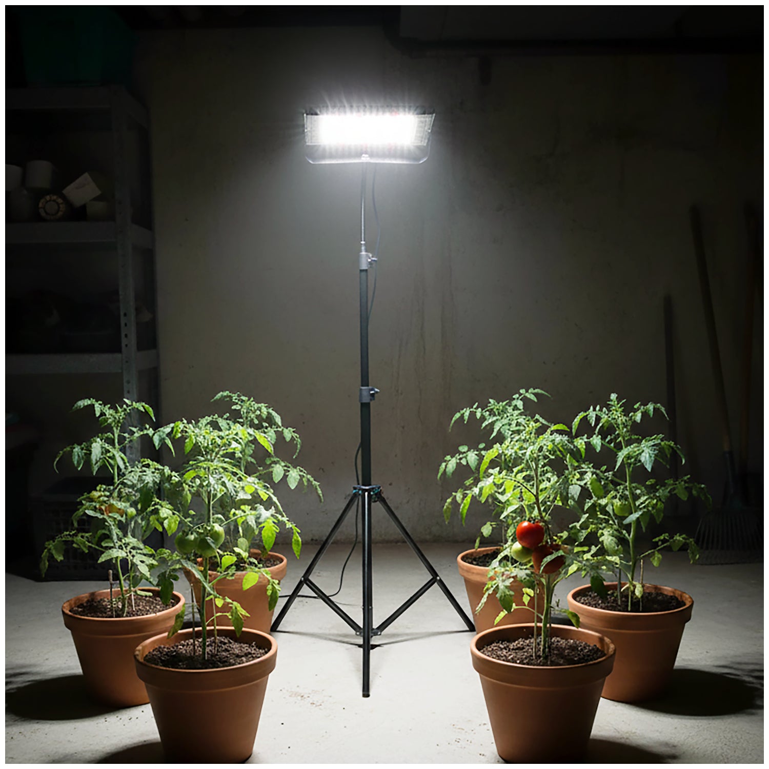 LED grow lamp LED FIRON 45W Kobi Design