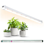 LED grow lamp LED GROWLY 15W Kobi Design